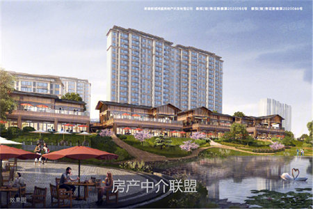 二实小实验中学附近铂悦府复式有证可分期